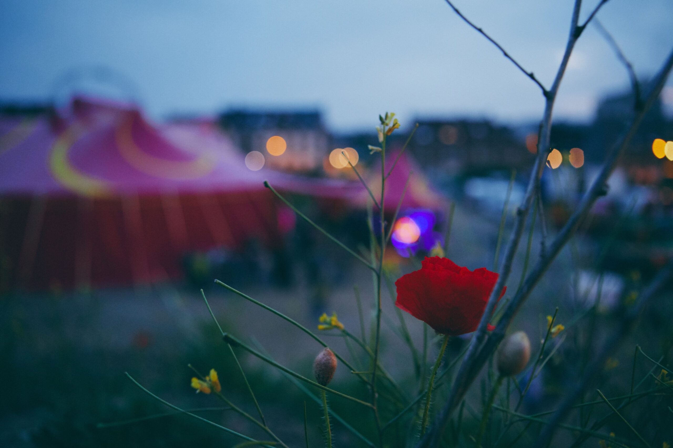 Documentary photos of Circus I Love You members at Leuven, Belgium, May 2019 